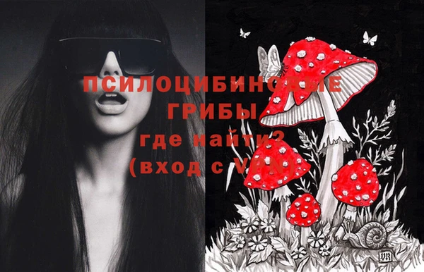стафф Медногорск
