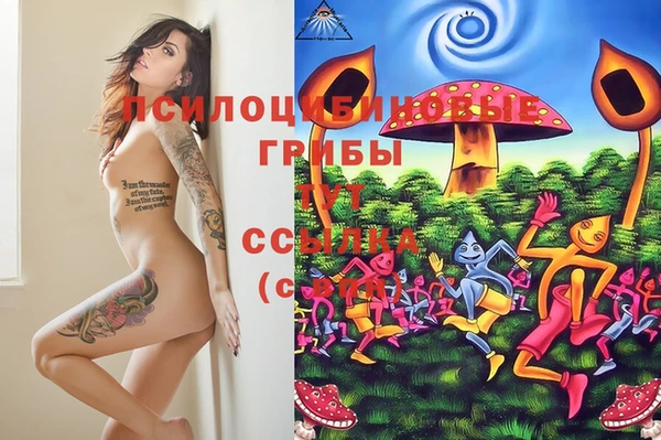 стафф Медногорск