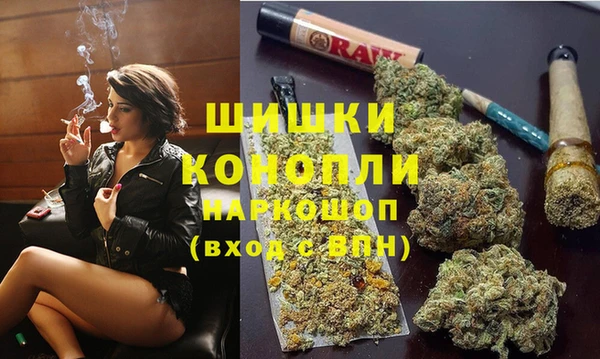 стафф Медногорск