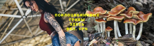 MDMA Premium VHQ Артём