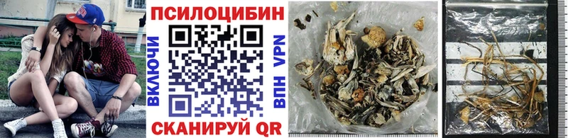 Галлюциногенные грибы Magic Shrooms  где купить наркоту  Туймазы 