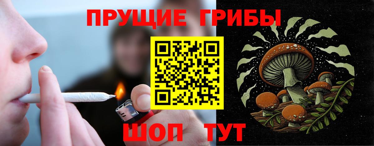 Псилоцибиновые грибы Magic Shrooms  Туймазы 