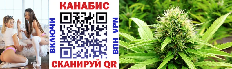 Конопля гибрид  Туймазы 